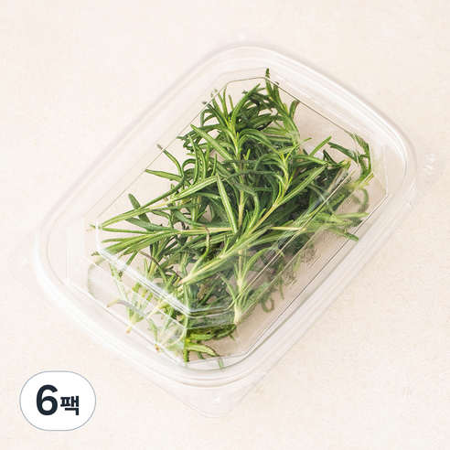 유기농 로즈마리, 10g, 6팩