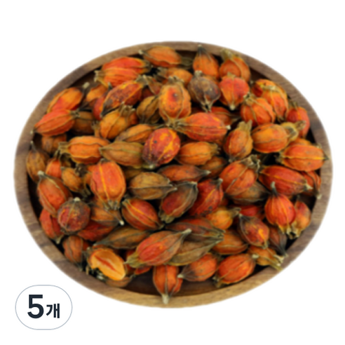 굳드림 절단 치자, 5개, 600g