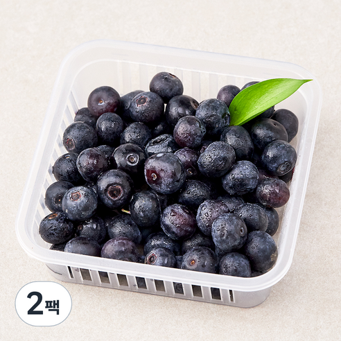 딜리조이 친환경 제주 블루베리, 200g, 2팩