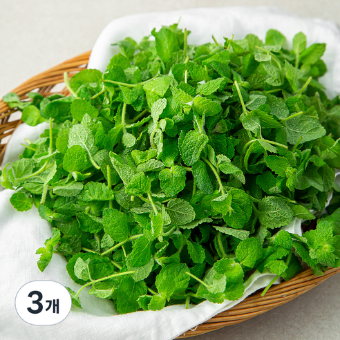 국내산 애플민트, 100g, 3개