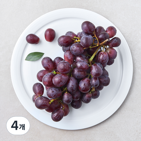 수플린 칠레산 적포도 잭살룻, 4개, 800g