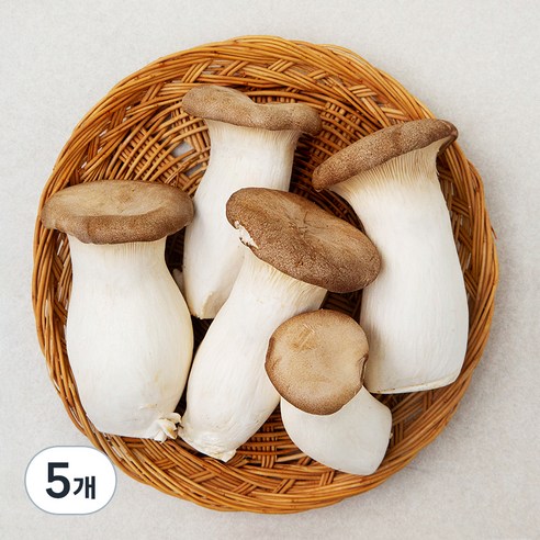 친환경 뿌리가 손질된 새송이버섯, 400g, 5개