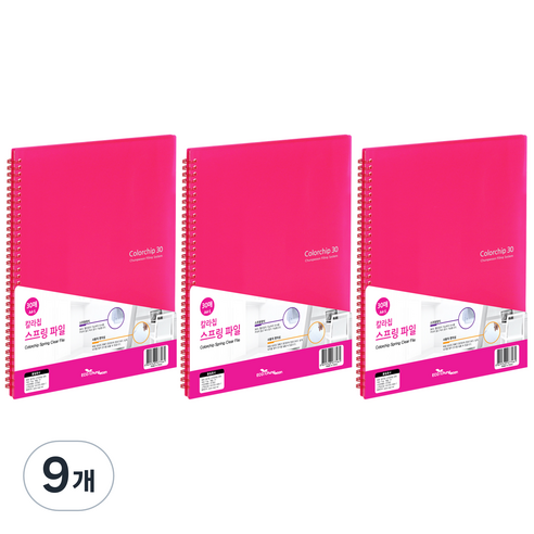 에코청운 칼라칩 스프링화일 30매 A4, 분홍, 9개