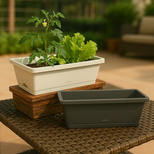 좁은 공간에도 싱그러운 미니 정원을!