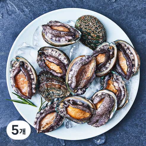 아라보감 완도 산지직송 전복 (냉장), 300g 내외(꼬마, 12마리), 5개