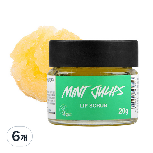 러쉬 립 스크럽, 민트 줄립스, 6개, 20g