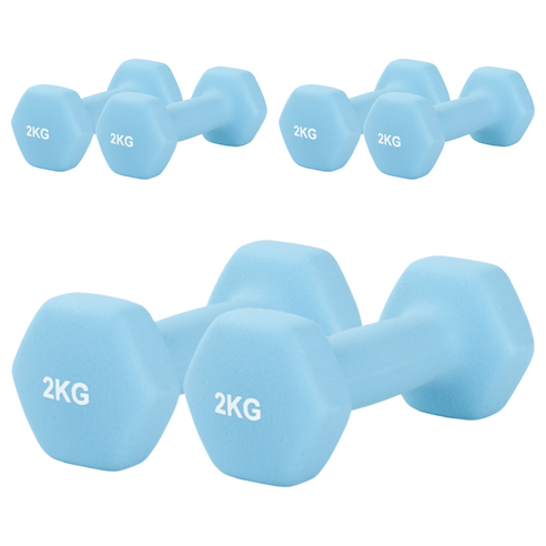 리브스포 논슬립 아령, 2kg, 6개