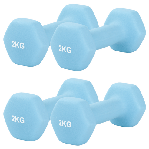 리브스포 논슬립 아령, 2kg, 4개
