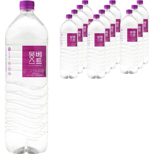 몽베스트 먹는샘물, 2L, 12개