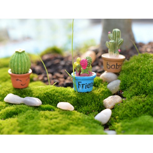 작은 공간에서 생동감 넘치는 미니어처 정원을 연출하는 즐거움