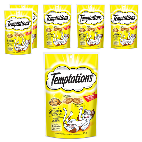 템테이션 고양이 맛있는 닭고기맛, 75g, 6개