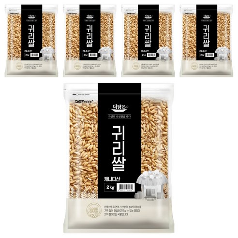 더담은 캐나다산 귀리쌀, 2kg, 5개
