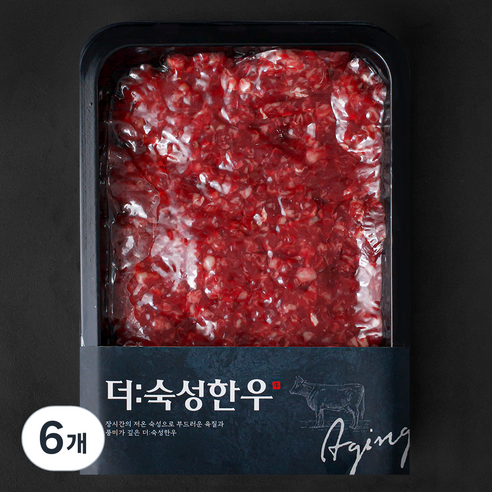 더 숙성한우 다짐육 (냉장), 250g, 6개