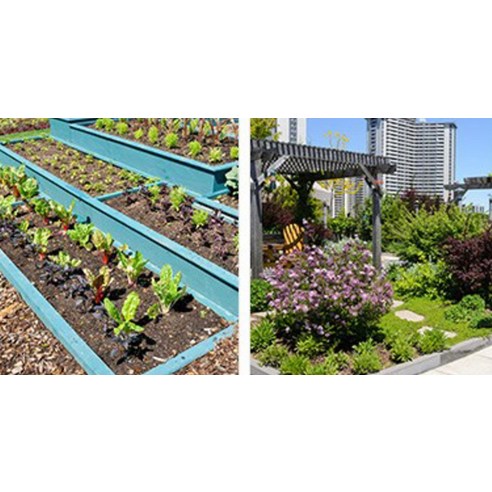 생명의 숨결을 불어넣는 마법, 화분월드 난석 휴가토 대립