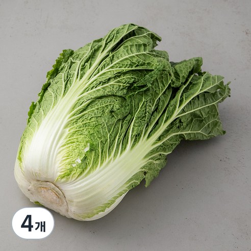 곰곰 국내산 배추, 1통, 4개