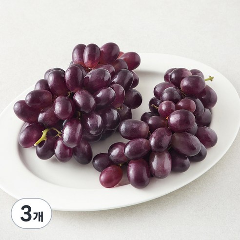 칠레 적포도, 900g, 3개