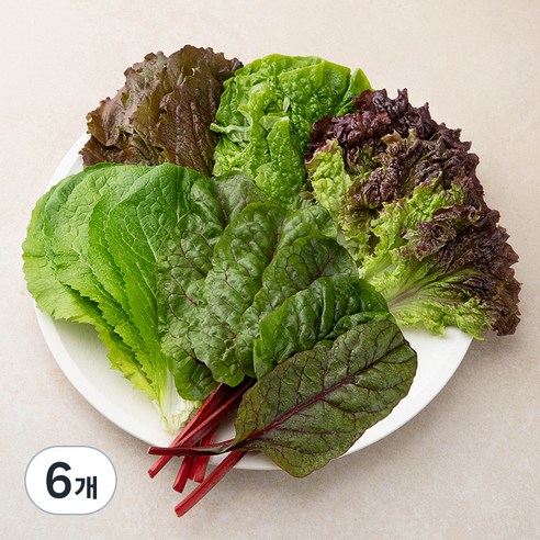 국내산 친환경 야채모듬쌈, 500g, 6개