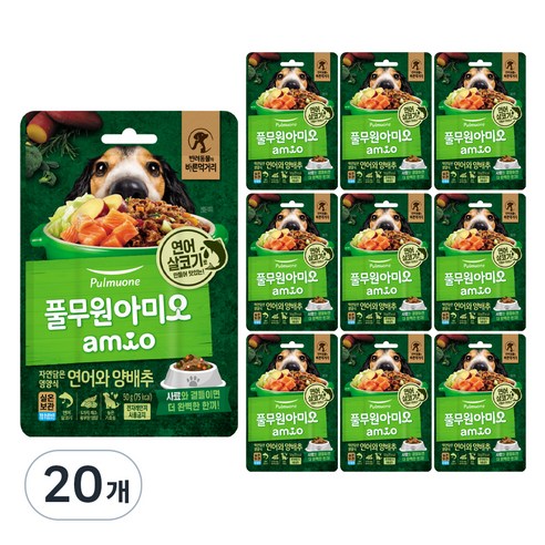 풀무원아미오 생후 3개월령 이후 자연담은 영양식 독 연어와 양배추 습식사료, 연어, 50g, 20개