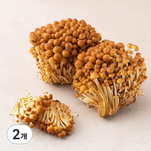 국내산 친환경 갈색 팽이버섯, 400g, 2개, 400g × 2개이라는 상품의 현재 가격은 5,120입니다.