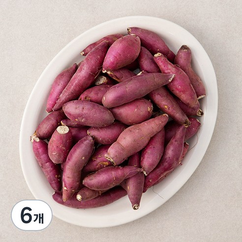 영암 한입 꿀맛 밤고구마, 1.5kg, 6개