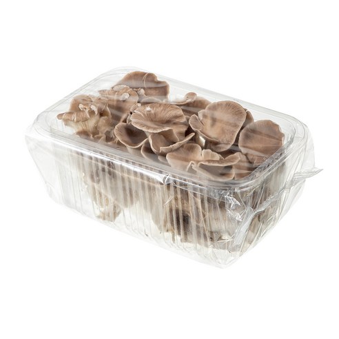 국내산 친환경 고기느타리버섯, 300g, 1개