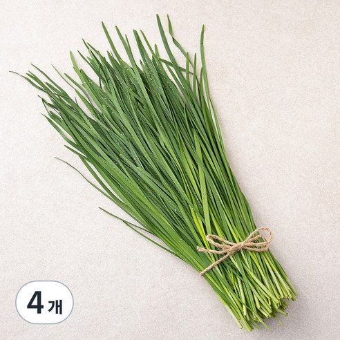 국내산 친환경 부추, 200g, 4개