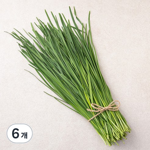 국내산 친환경 부추, 200g, 6개