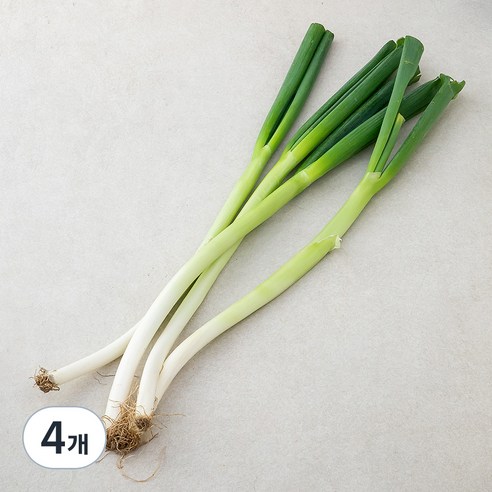 국내산 친환경 대파, 500g, 4개