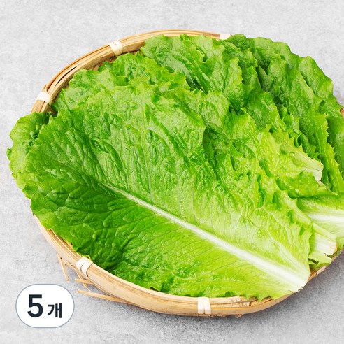 친환경 로메인, 70g, 5개
