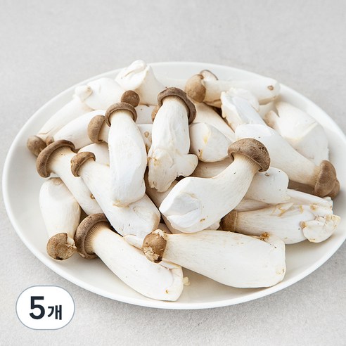 곰곰 친환경 미니 새송이버섯, 600g, 5개