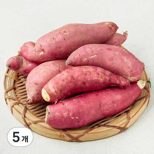 못생겨도 맛있는 꿀고구마, 1.5kg, 5개