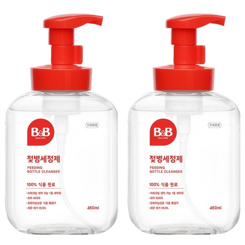 비앤비 거품형 용기 젖병세정제, 450ml, 2개