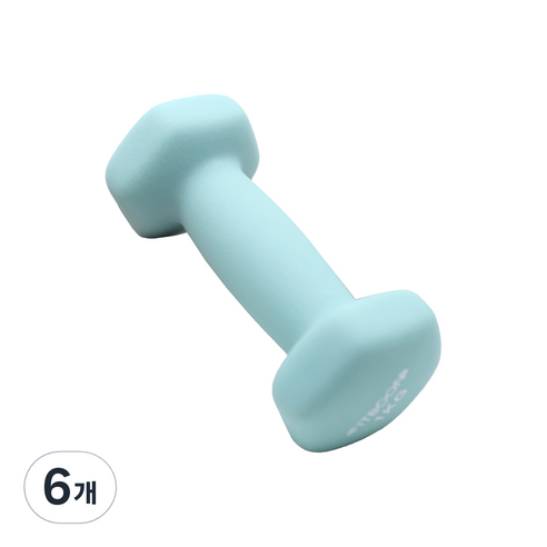 핏분 네오프렌 아령 멜론민트, 1kg, 6개