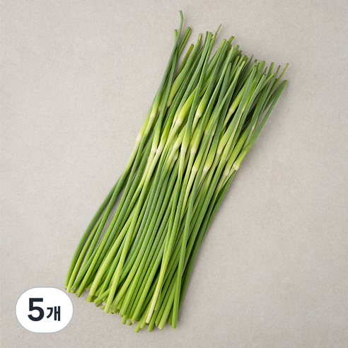남해 마늘쫑, 500g, 5개