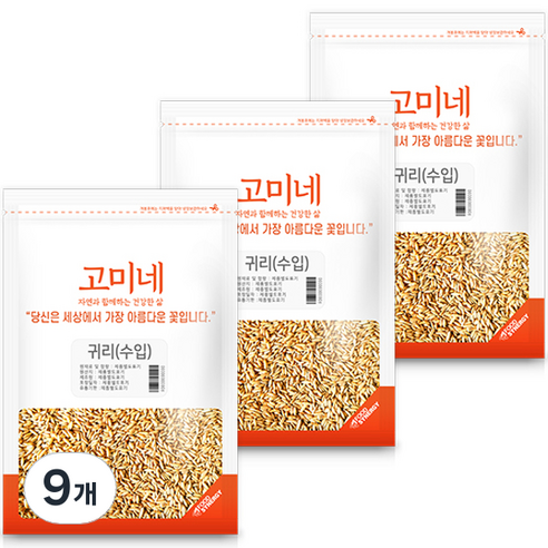 고미네 캐나다 귀리, 1kg, 9개