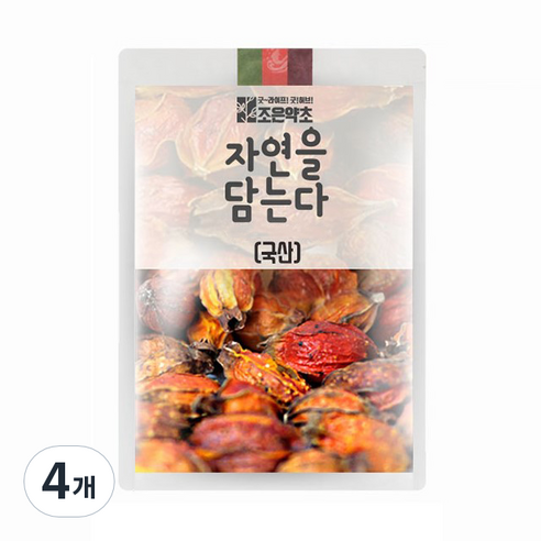 조은약초 치자, 200g, 4개