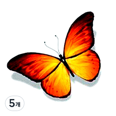 파티복닷컴 나비 웬디 타투 스티커, AC84, 5개