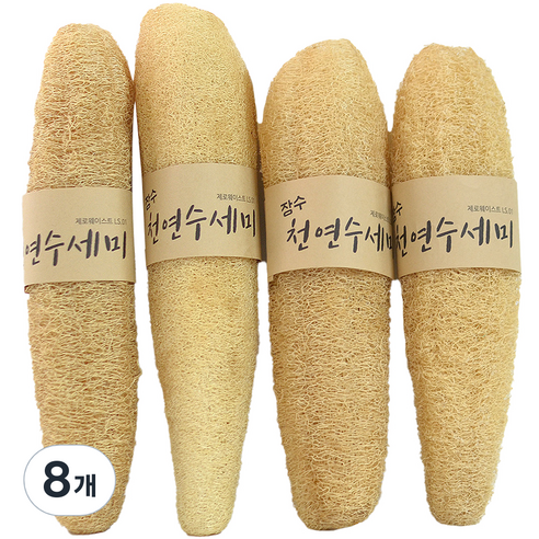 장수 통통한 수세미 일반, 1개입, 8개