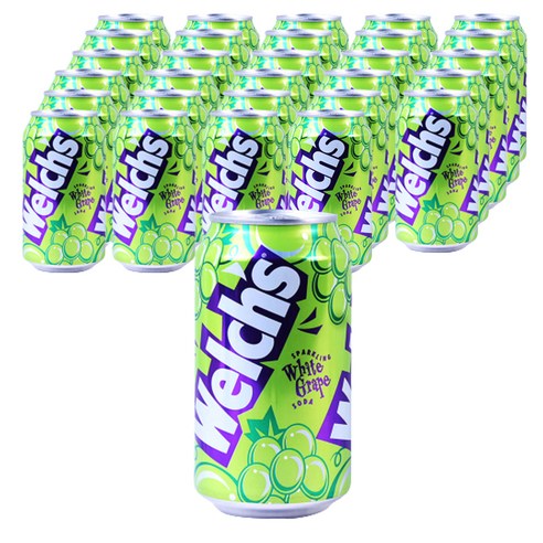 웰치스 청포도, 355ml, 48개
