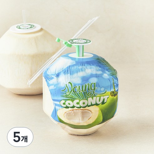 수플린 베트남산 영코코넛, 5개, 900g