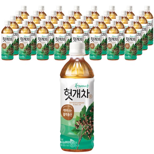 웅진 헛개차, 500ml, 40개