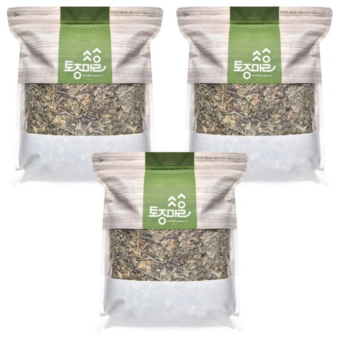 토종마을 약쑥 사자발쑥, 550g, 1개입, 3개