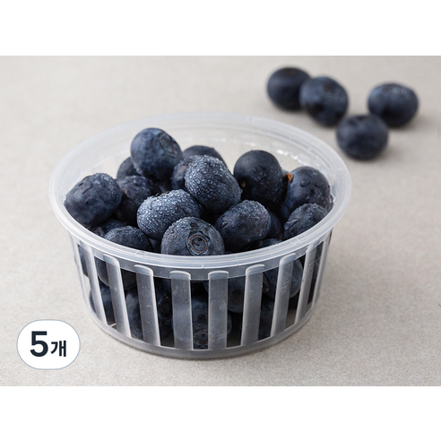 곰곰 GAP 국내산 블루베리 왕특, 100g, 5개