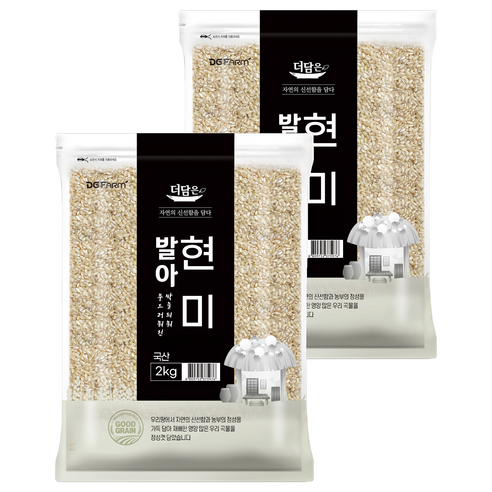 더담은 발아현미, 2kg, 2개