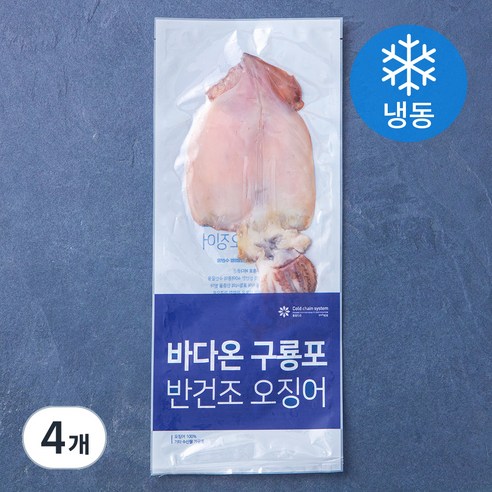 바다온 포항시 인증 한마리 구룡포 반건조 오징어 (냉동), 110g, 4개
