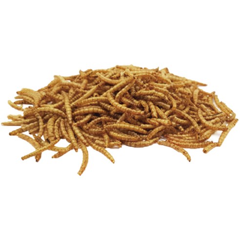 펫츠핸들러 건조밀웜 고슴도치사료 리필, 150g, 2개