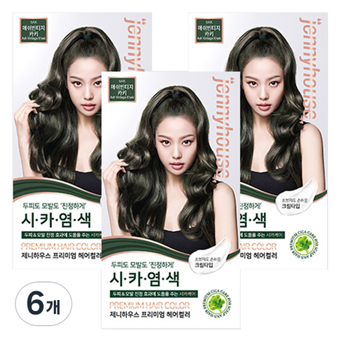 제니하우스코스메틱 프리미엄 헤어컬러 염모제, 애쉬빈티지카키6AK, 6개