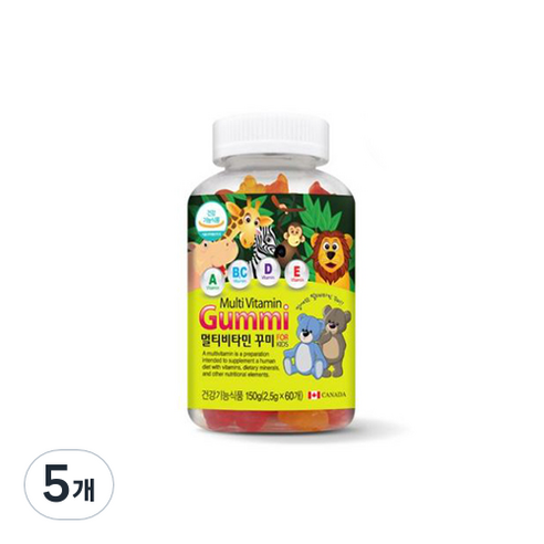 네추럴라이즈 멀티비타민 꾸미 60p, 60정, 5개