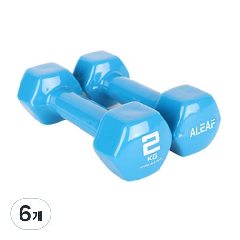 아리프 PVC 컬러 육각 덤벨, 2kg, 6개