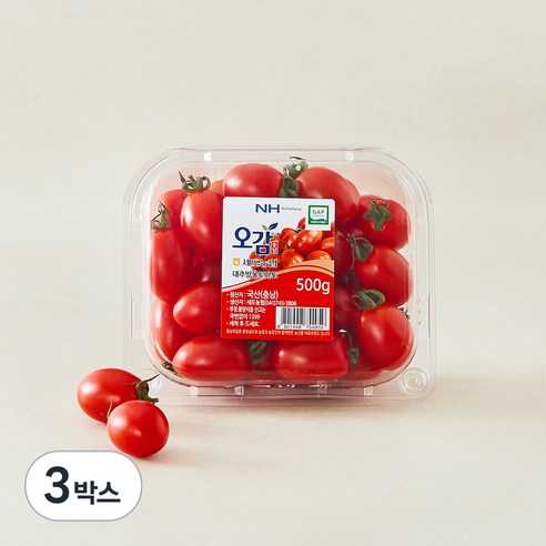 [로켓프레시] 충남오감 세도농협 GAP 인증 대추방울토마토